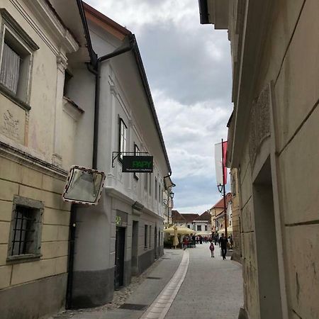 Apartma Linhartov Trg Radovljica Exteriör bild