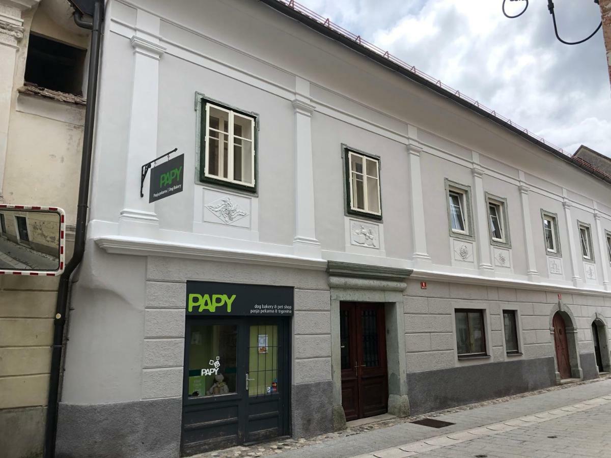Apartma Linhartov Trg Radovljica Exteriör bild